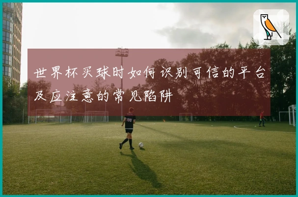 世界杯买球时如何识别可信的平台及应注意的常见陷阱