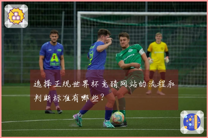 选择正规世界杯竞猜网站的流程和判断标准有哪些？