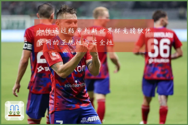 如何通过赔率判断世界杯竞猜软件官网的正规性与安全性